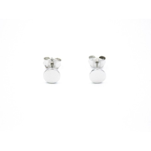 PENDIENTES PLATA 1 LEY