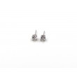 PENDIENTES PLATA 1 LEY 