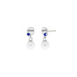 PENDIENTES PLATA 1 LEY BRISA