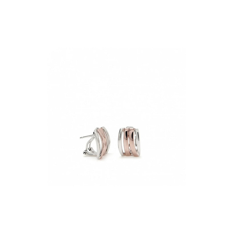 PENDIENTES PLATA 1 LEY